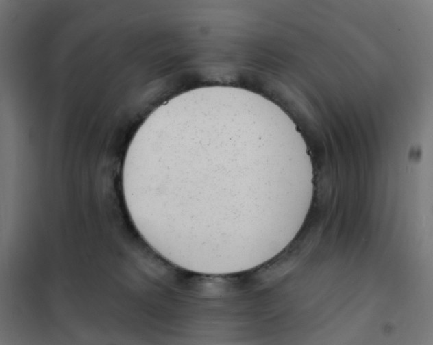 X0000101700229200808071206