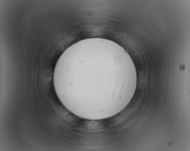 X0000101700230200808071206