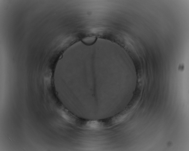 X0000101700231200808071206