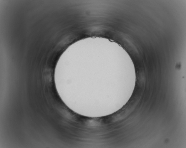 X0000101700232200808071206