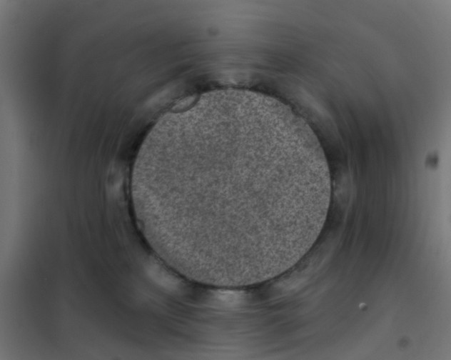 X0000101700233200808071206
