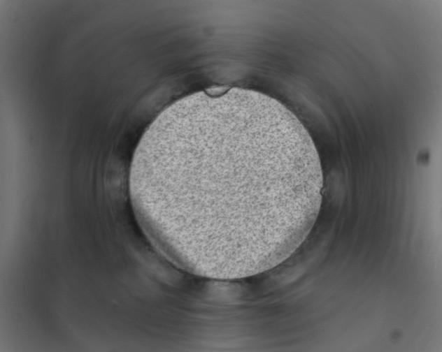 X0000101700234200808071206