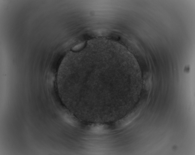 X0000101700235200808071206