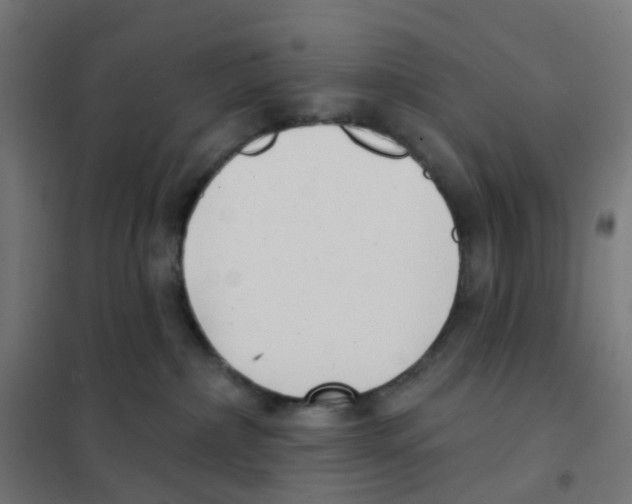 X0000101700236200808071206