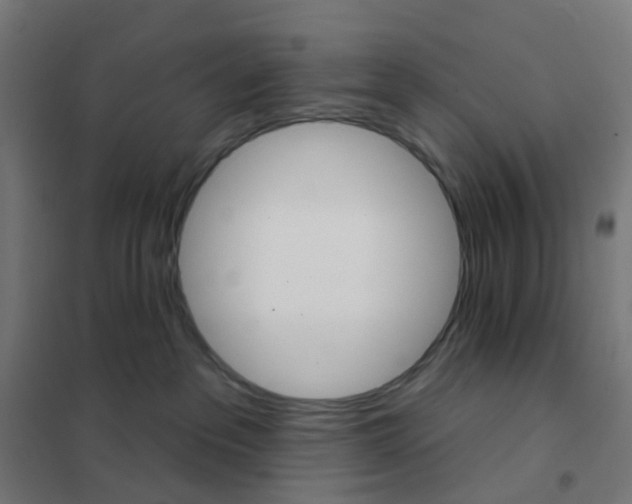 X0000101700237200808071206
