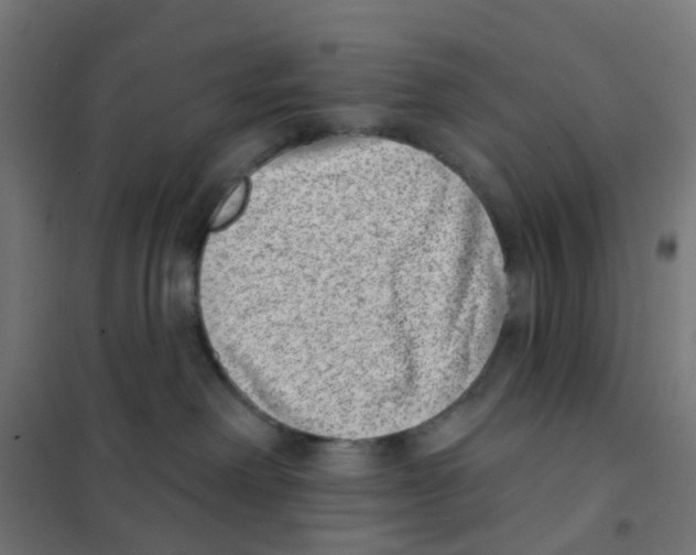 X0000101700238200808071206
