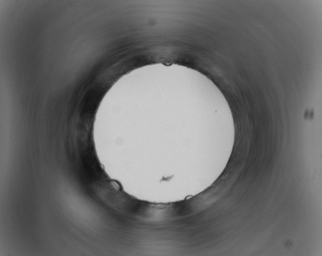 X0000101700240200808071206