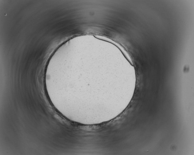 X0000101700241200808071206