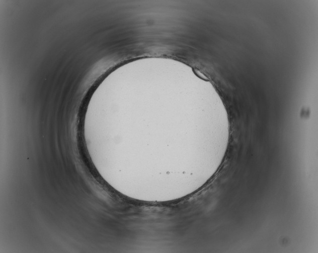 X0000101700242200808071206