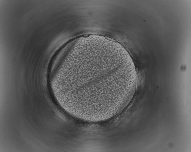 X0000101700243200808071206