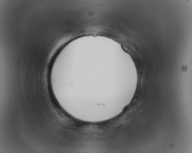 X0000101700244200808071206