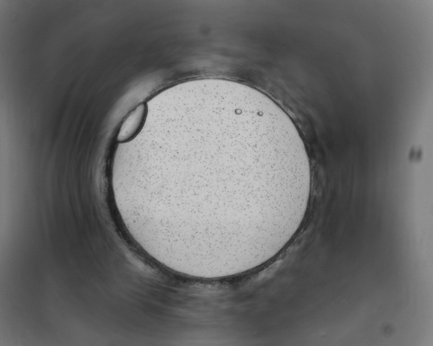 X0000101700245200808071206
