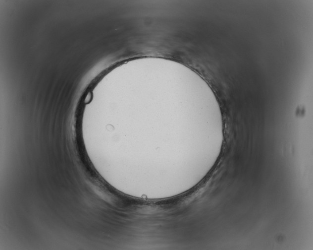 X0000101700246200808071206
