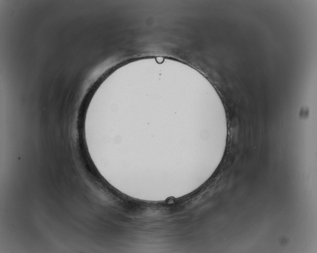 X0000101700248200808071206