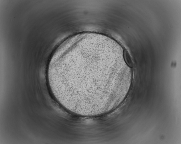 X0000101700249200808071206