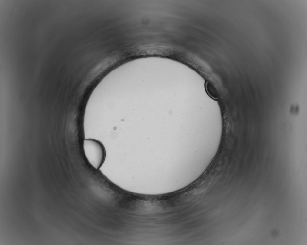 X0000101700250200808071206