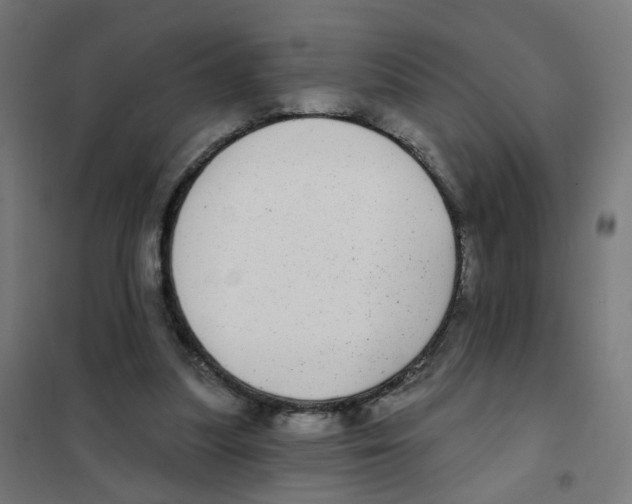 X0000101700251200808071206