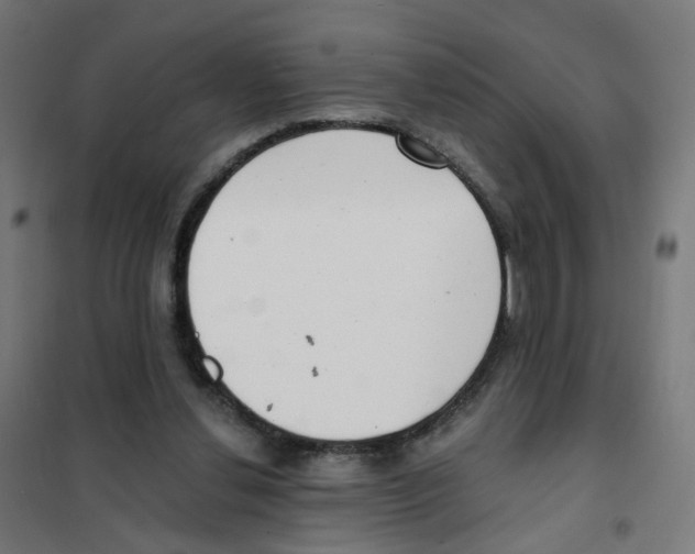 X0000101700252200808071206