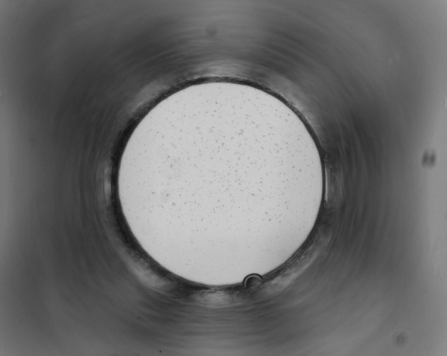 X0000101700253200808071206