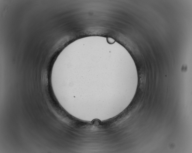 X0000101700254200808071206