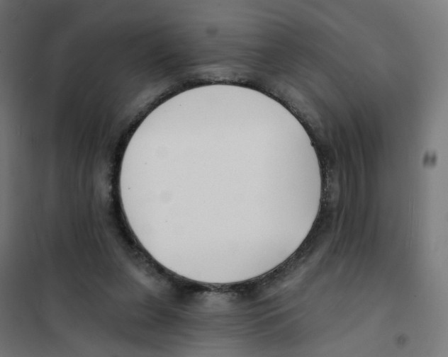 X0000101700255200808071206