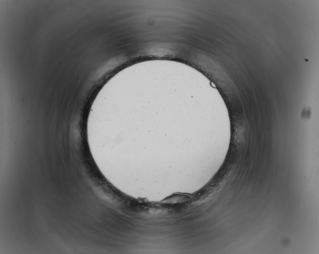 X0000101700256200808071206