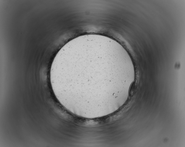 X0000101700257200808071206