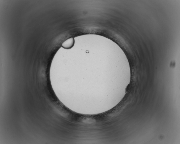 X0000101700258200808071206