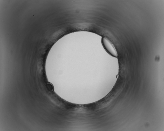 X0000101700259200808071206