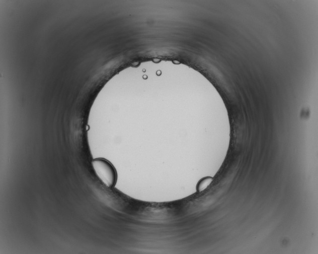 X0000101700260200808071206