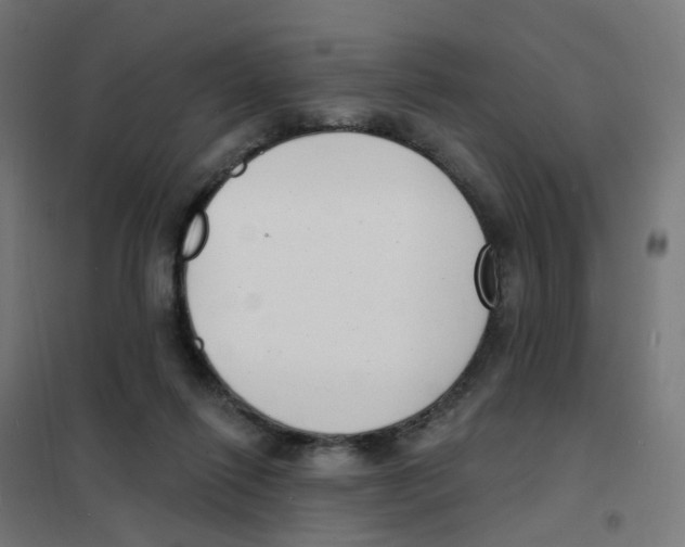 X0000101700262200808071206