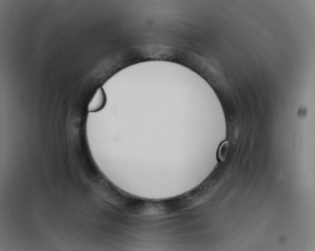 X0000101700263200808071206
