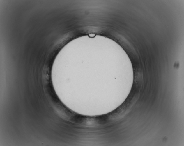 X0000101700264200808071206