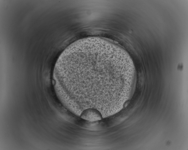 X0000101700267200808071206