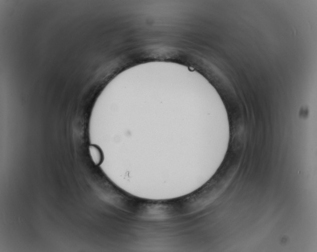 X0000101700268200808071206
