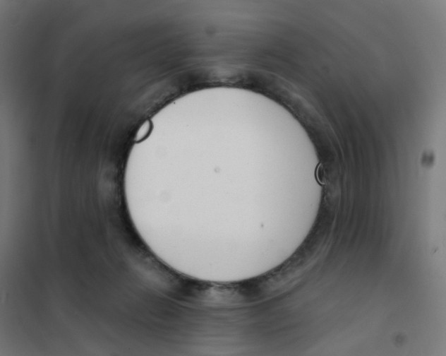 X0000101700270200808071206