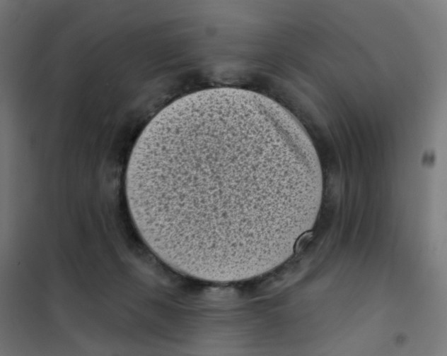 X0000101700271200808071206