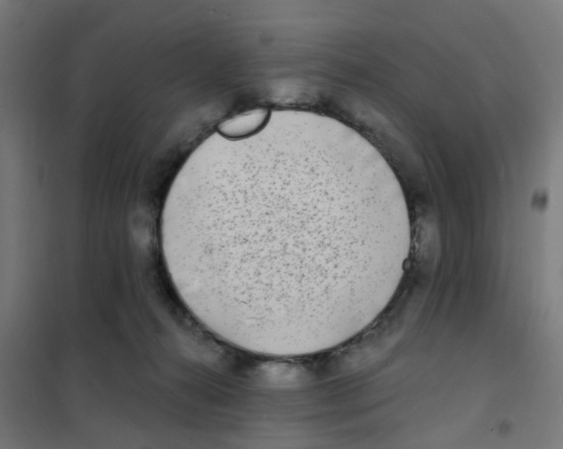 X0000101700272200808071206