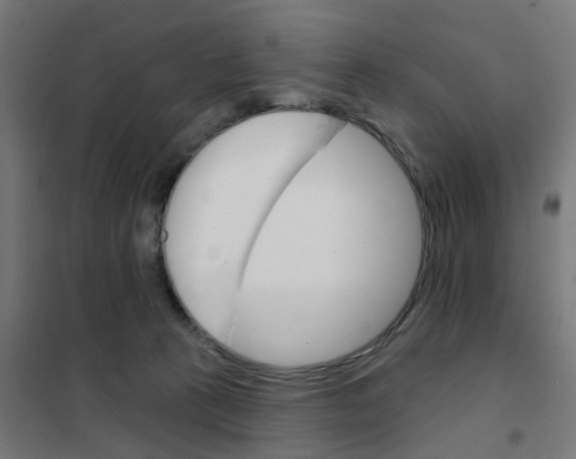 X0000101700273200808071206