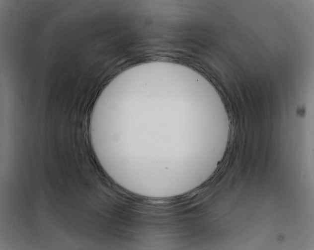 X0000101700275200808071206