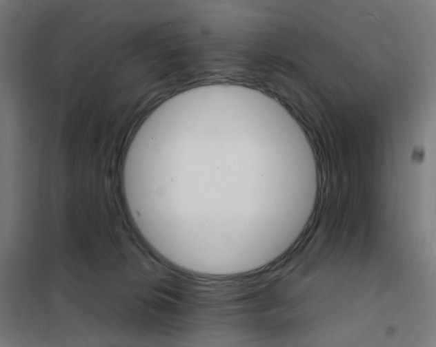X0000101700276200808071206