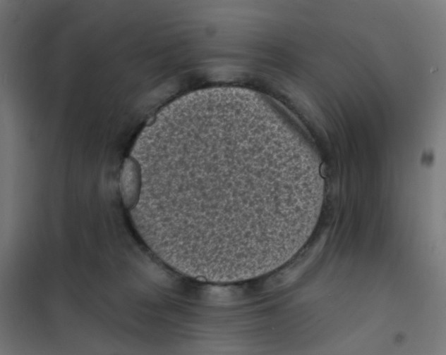 X0000101700277200808071206