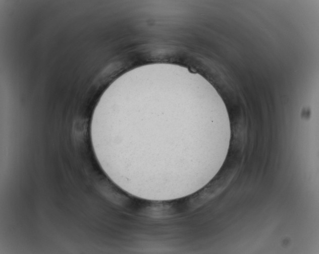 X0000101700278200808071206