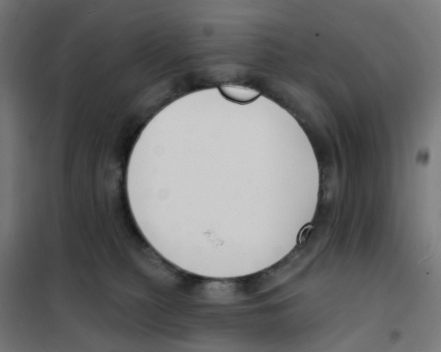 X0000101700279200808071206
