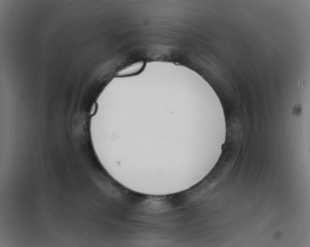 X0000101700280200808071206