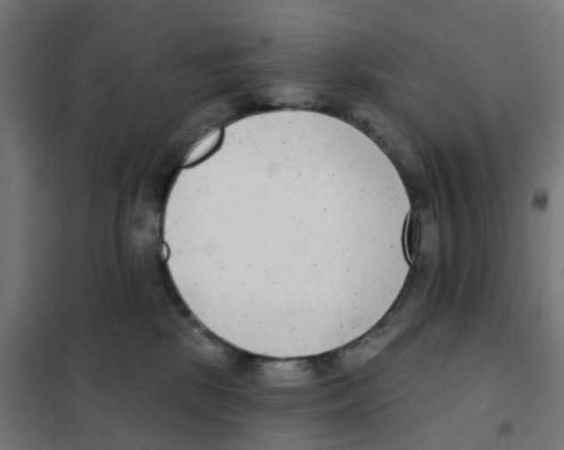 X0000101700281200808071206