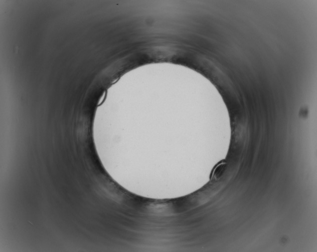 X0000101700283200808071206