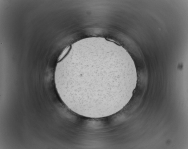X0000101700284200808071206