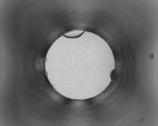 X0000101700286200808071206