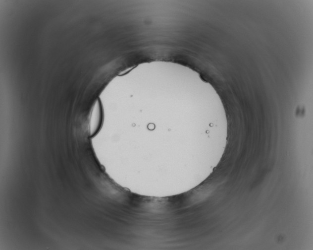 X0000101700288200808071206
